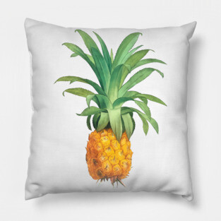 Pineapple Pillow