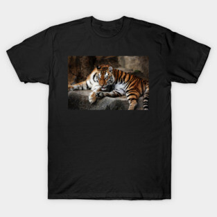 tiger cats T-Shirt