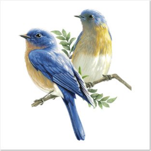 Bluebird Posters and Art