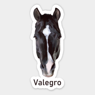 Valegro Face Marking with Name Sticker