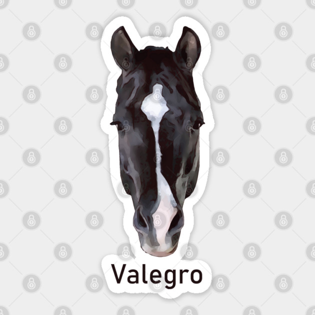 Valegro Face Marking with Name Sticker by Lakeric