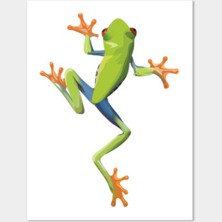 Greenery tree-frog Posters and Art