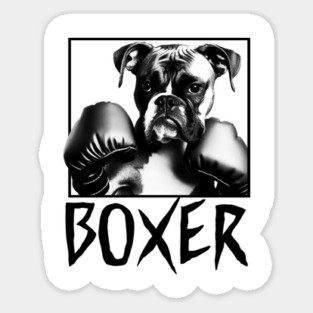Boxer Dog - 4 Magnet