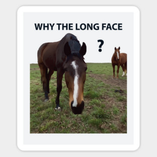 Why The Long Face? - Funny Horse Magnet
