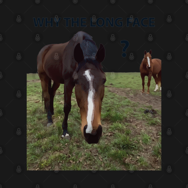 Why The Long Face? - Funny Horse by Lakeric