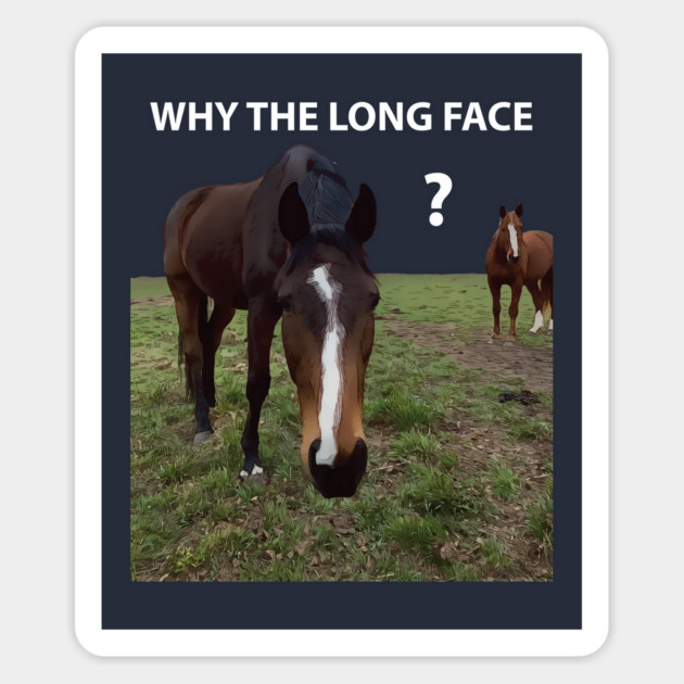 Why The Long Face? - Funny Horse Magnet by Lakeric