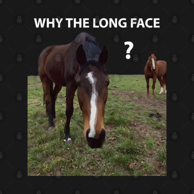 Why The Long Face? - Funny Horse by Lakeric