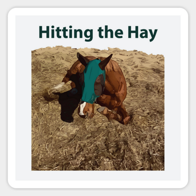 Hitting the Hay - Funny Horse Magnet by Lakeric