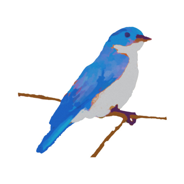 Blue Thrush by DonWillisJrArt