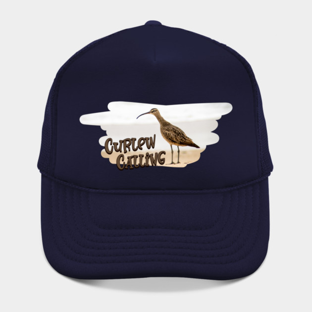 Curlew Day Curlew Calling by HolidayBug