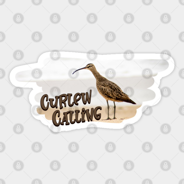 Curlew Day Curlew Calling Sticker by HolidayBug