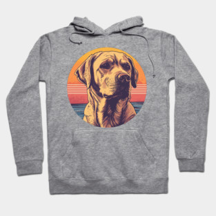 Vintage Yellow Labrador Retriever Hoodie