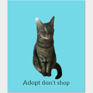 Adopt Don’t Shop Posters and Art