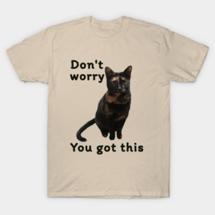 Don’t Worry You Got This (kitty) T-Shirt