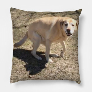 Yellow Lab Pillow