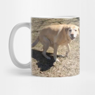 Yellow Lab Mug