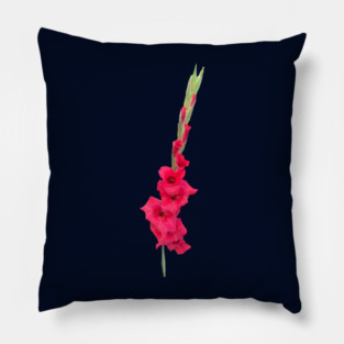 Gladiolus Pillow