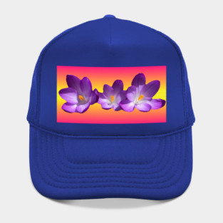 Tropical Sunset Flowers Hat