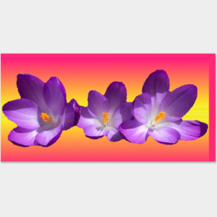 Tropical Sunset Flowers Posters and Art