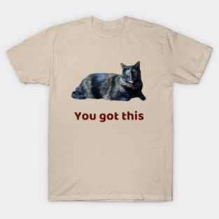 You Got This T-Shirt