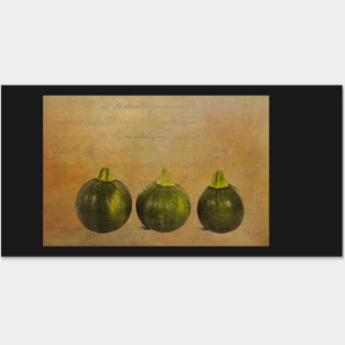 Three Round Squash Posters and Art
