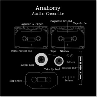 Audio Cassette Tape Anatomy Posters and Art