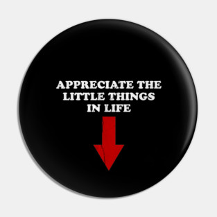 Appreciate the little things in life offensive-christmas Pin
