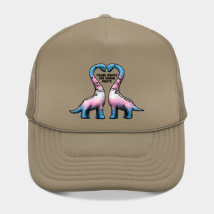 Trans Rights Are Human Rights Hat
