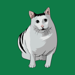 Huh Cat Meme T-Shirt