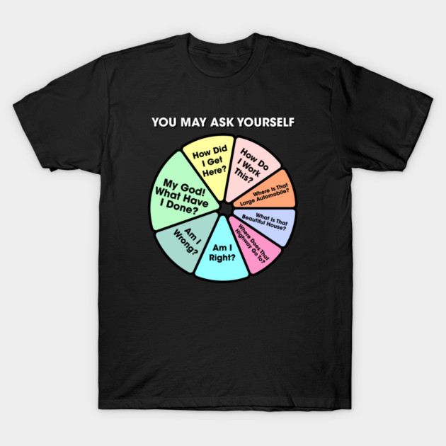 You May Ask Yourself • Once In A Lifetime Pie Chart T-Shirt by caboodul