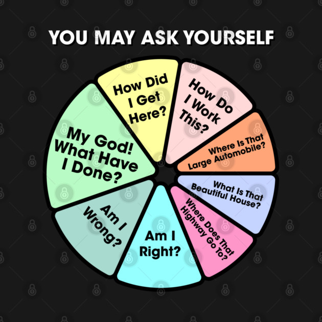 You May Ask Yourself • Once In A Lifetime Pie Chart by caboodul