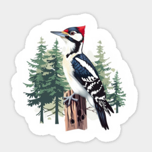 Woodpecker Sticker