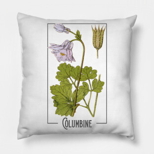 Columbine. Aquilegia vulgaris. Name also: Common Columbine, European Columbine, Granny's Nightcap Pillow