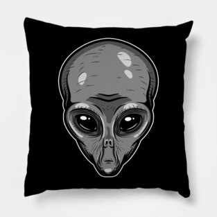 Area 51 Pillow