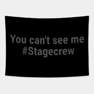 You can't see me #Stagecrew Gray Tapestry