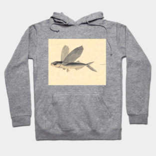 Flying Fish by Mary Symonds Hoodie