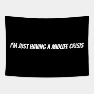 I'm just having a midlife crisis Tapestry