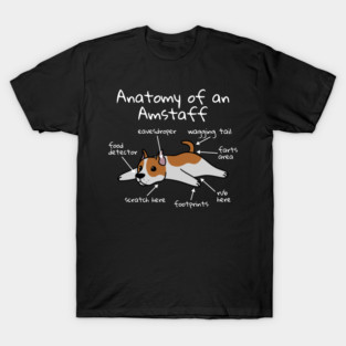Anatomy Of A American Staffordshire Terrier T-Shirt