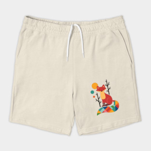 Rainbow Fox Shorts