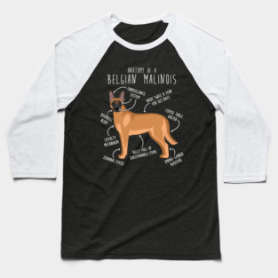 Belgian Malinois Dog Anatomy Baseball T-Shirt
