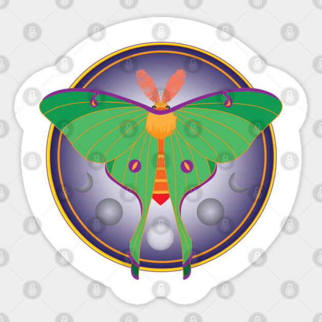 Luna Moth Sticker by DickinsonDesign