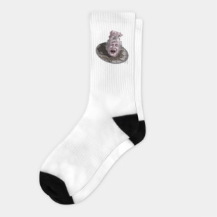 Baron Munchausen: King of the Moon Socks