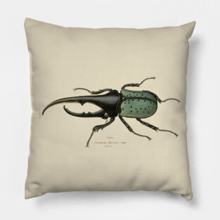 Hercules Beetle Vintage Illustration Pillow