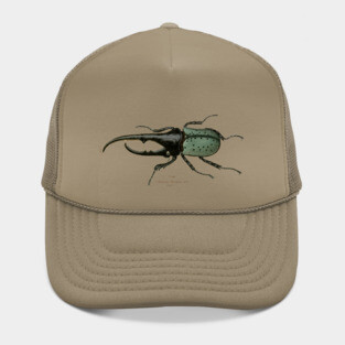 Hercules Beetle Vintage Illustration Hat