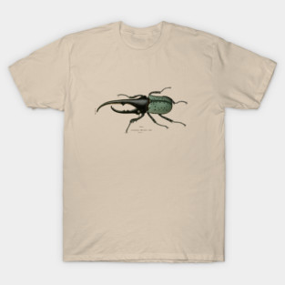 Hercules Beetle Vintage Illustration T-Shirt