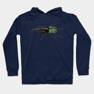 Hercules Beetle Vintage Illustration Hoodie