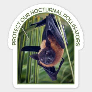 Protect Bats Sticker