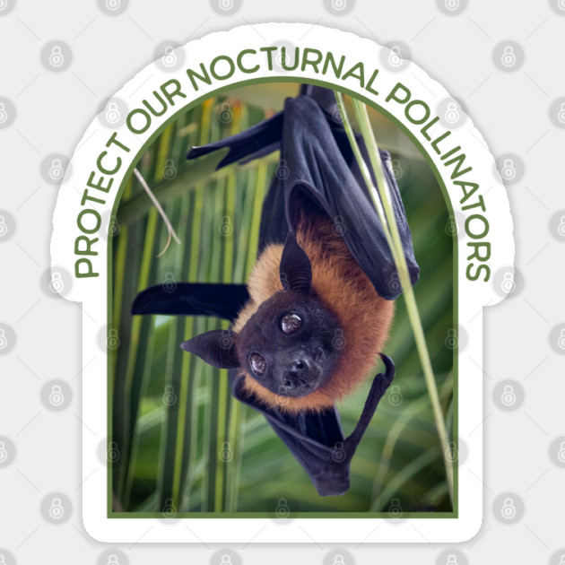 Protect Bats Sticker by HolidayBug