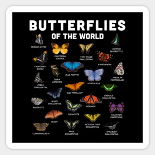 Butterflies of the World Magnet
