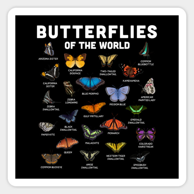 Butterflies of the World Magnet by GoshWow®